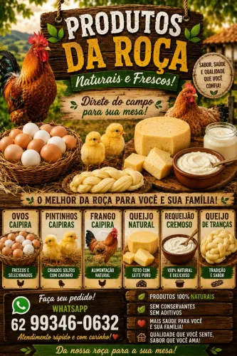 Pintinhos ovos e queijos caipiras