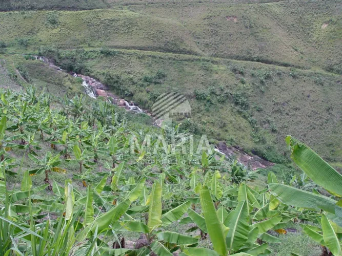 Fazenda com 70 hectares em Amaraji/PE - R$ 2.100.000,00