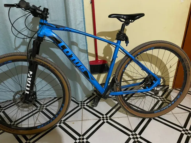 Bike Aro 29