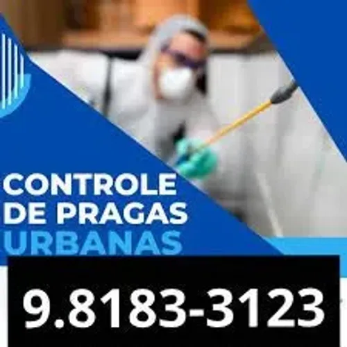 Dedetização