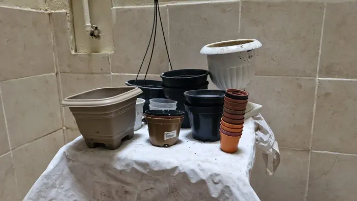 Vasos de jardim diversos