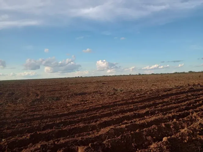 fazenda chapada gaúcha MG