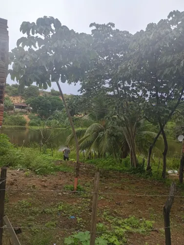 TERRENO PAJUÇARA,ZN