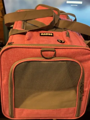 Bolsa Transporte Pet Grande Avião Para Caes e Gatos Reforçada