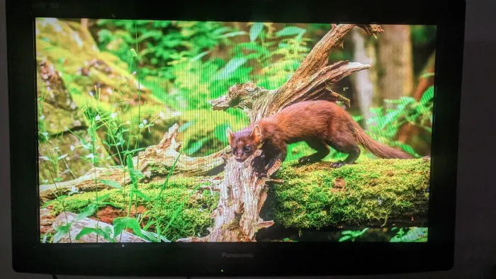 Tv Panasonic 1080p 32 polegadas