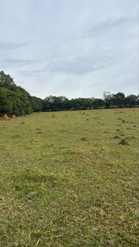 Sítio à venda 