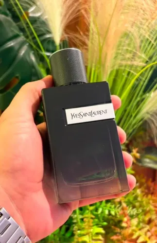 Perfume Y Edp