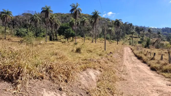 FAZENDINHA DE 2 HECTARES REGIÃO RURAL de FLORESTAL - MG