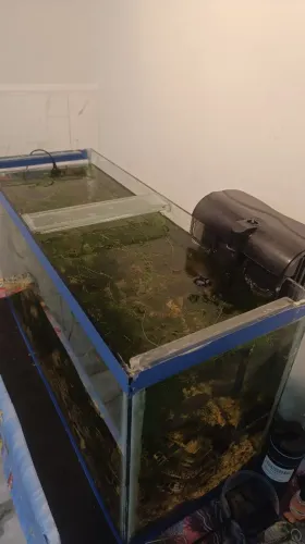Aquário 100 Litros Completo - Com Filtro, Plantas e Decoração