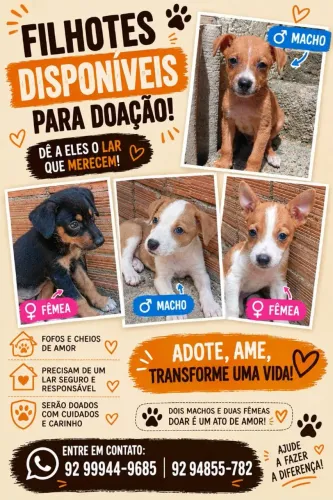 Adoção responsável