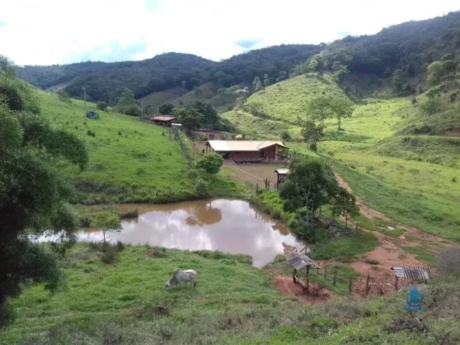 FAZENDA COM 294,3 HECTARES CARMESIA MG