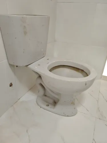 Vaso sanitário Elisabete sem tampa da caixa.