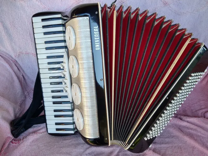 Acordeon / Sanfona Universal 120 baixos