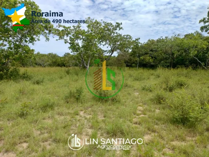 Vendo Fazenda de 619 ha e 490 ha