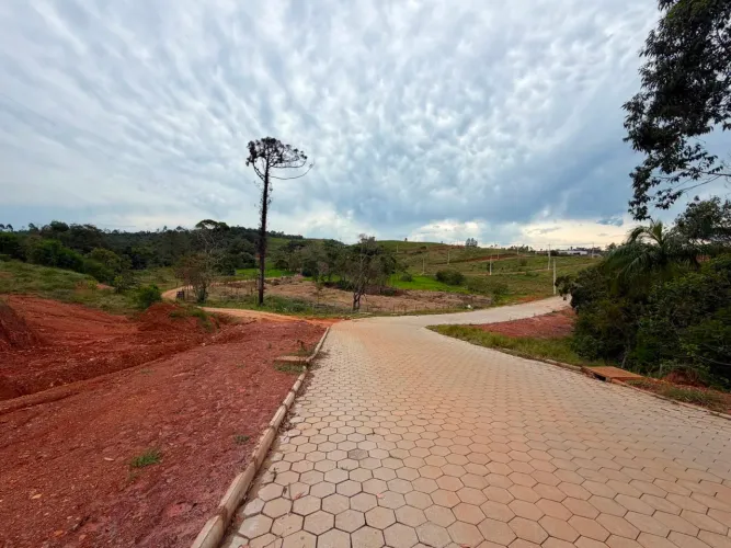 Oportunidade de investimento em canelinha