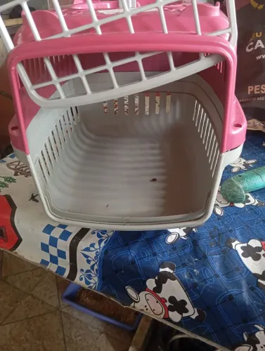 Caixa de gato