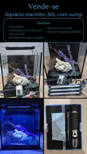 Aquário marinho 30x30x40 com sump