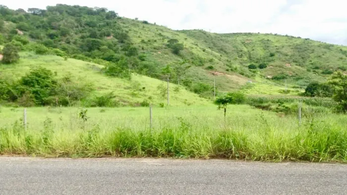 Sítio com muita água + acesso direto BR - 1,5 alq - 10km da cidade