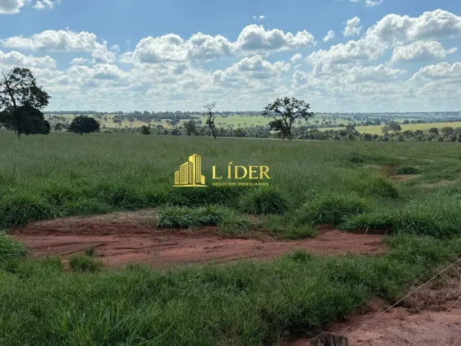 FAZENDA À VENDA CAMPINA VERDE/MG