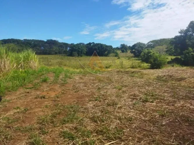 Sítio - Mococa - Zona Rural