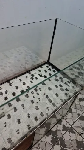 Aquário 