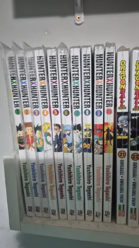Mangás hunter x hunter coleção coleção com 10 volumes do 1ao10