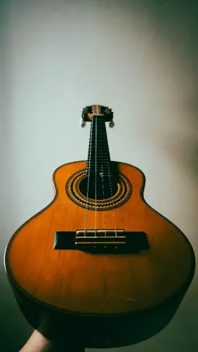 Cavaquinho de Luxo - Anderson Luthier - Ano de Fabricação 2018 - Acompanha Case de Luxo