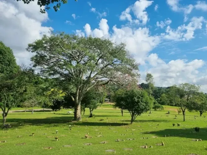 Vendo jazigo sem taxa de transferência no Cemitério Parque Iguaçu. 
