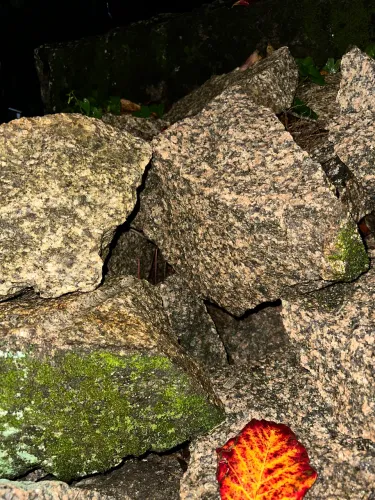 Pedra