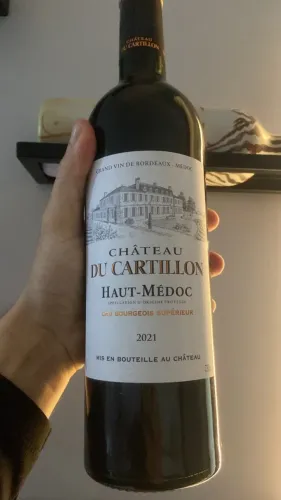 Vinho Château Du Cartillon 2021