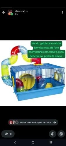 Vende-se gaiola de ramister 