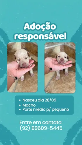 DOACAO5 SEM RAÇA
