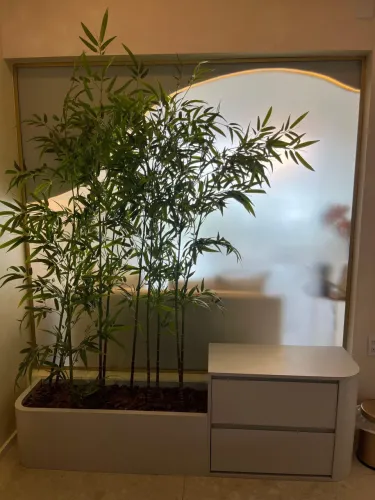 Armário + Plantas