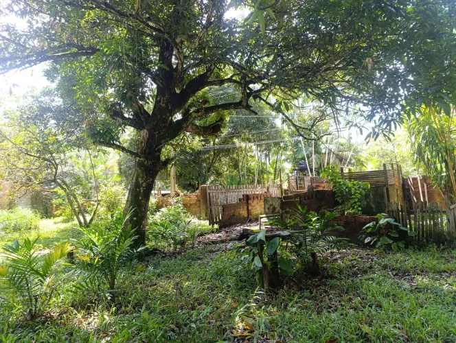 Vendo terreno no Outeiro <br> 100 metros de fundo. <br>Valor  80.000,00