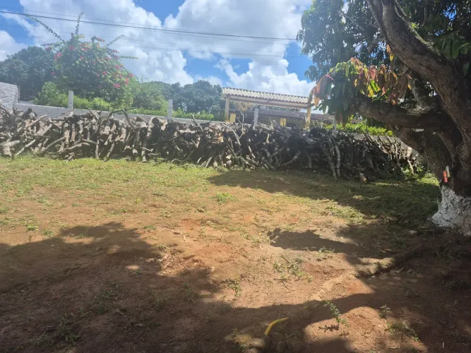 Vendo madeira