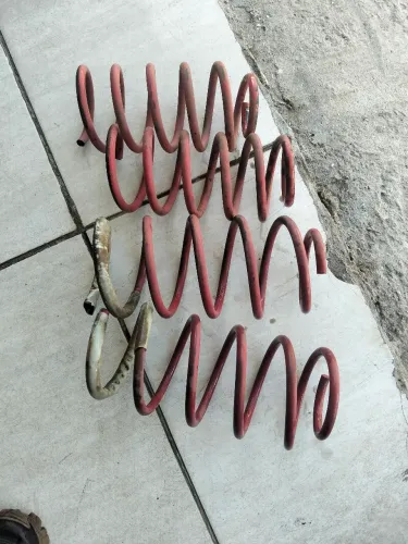 Molas esportivas