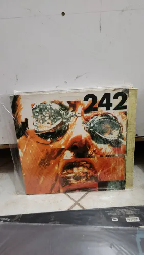 LOTE DISCOS VINIL LP POP ROCK FRONT 242