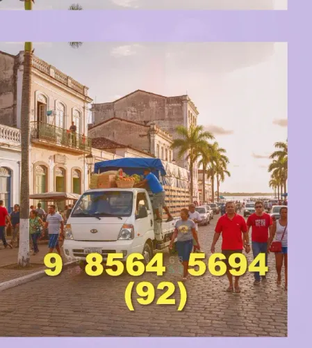 FRETE.CAMINHÃO.BAÚ-MUDANÇA-92\9+8564.5694_VIAGENS*FENIX