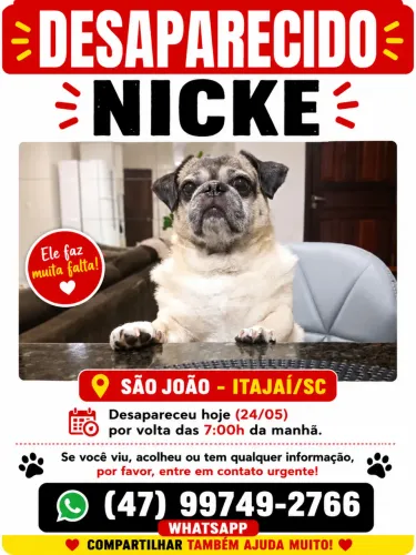 FUGIL ESSE CÃOZINHO! MITÍÇO HÁ PUG (OFEREÇO UMA RECOMPENSA 