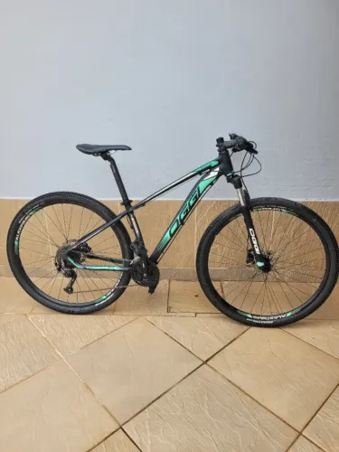 Bicicleta Oggi 7.0