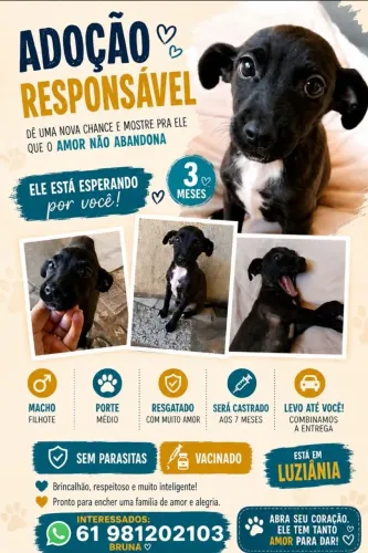 Doação