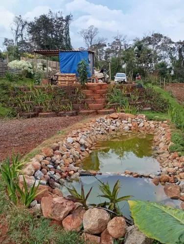 Chácara à venda, 1700 m² por R$ 85.000 - Cachaça Pendao - Itatiaiuçu/MG