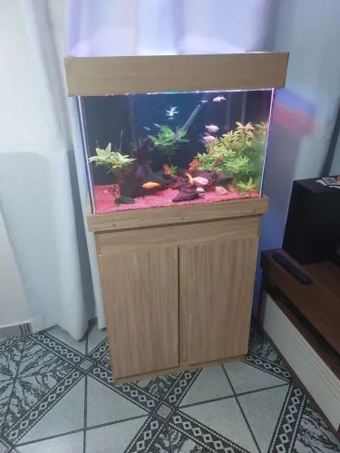 Vendo aquario