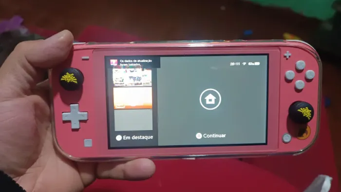 Nintendo switch lite