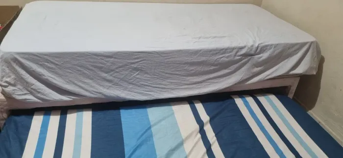 Bicama/ marca gazin premium/ colchão D33