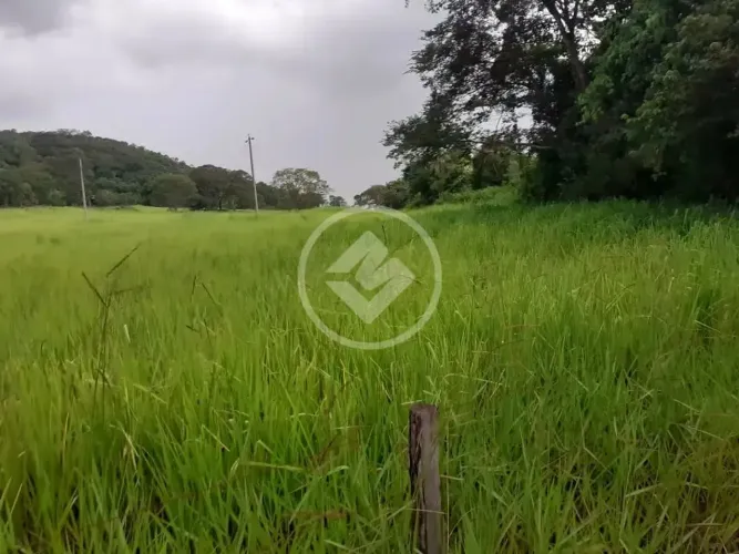 FAZENDA À VENDA 12 ALQUEIRES | CEZARINA GO codigo: 268172