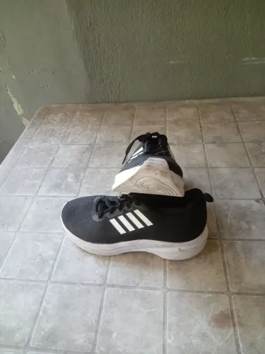 Tenis
