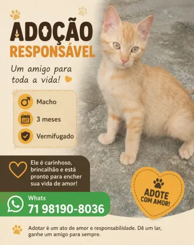 ADOÇÃO RESPONSAVEL