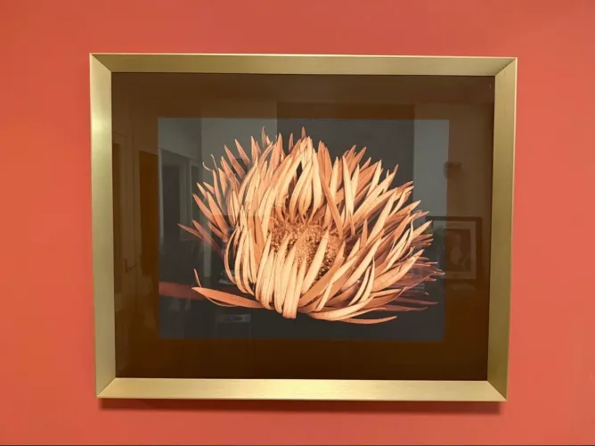 Quadro decorativo grande com moldura