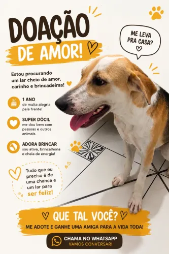 Doação 